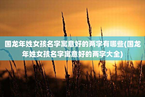 国龙年姓女孩名字寓意好的两字有哪些(国龙年姓女孩名字寓意好的两字大全)
