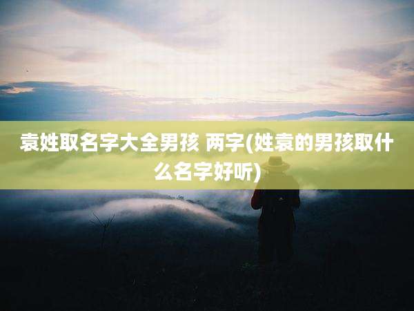 袁姓取名字大全男孩 两字(姓袁的男孩取什么名字好听)