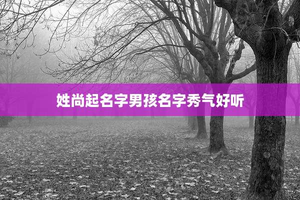 姓尚起名字男孩名字秀气好听