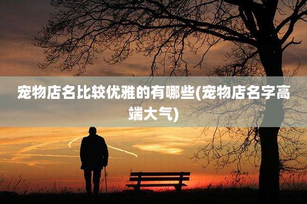 宠物店名比较优雅的有哪些(宠物店名字高端大气)