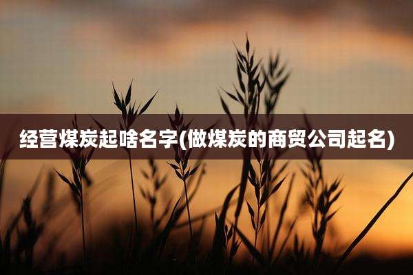 经营煤炭起啥名字(做煤炭的商贸公司起名)