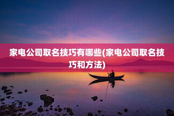 家电公司取名技巧有哪些(家电公司取名技巧和方法)