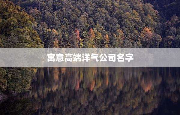 寓意高端洋气公司名字