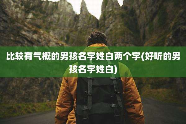 比较有气概的男孩名字姓白两个字(好听的男孩名字姓白)