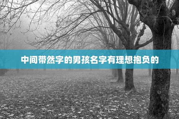 中间带然字的男孩名字有理想抱负的