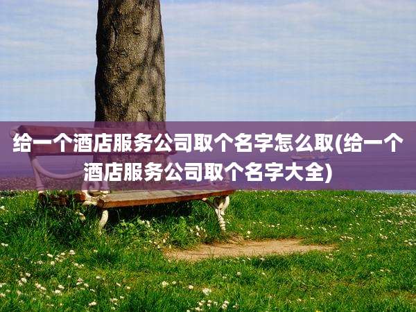 给一个酒店服务公司取个名字怎么取(给一个酒店服务公司取个名字大全)