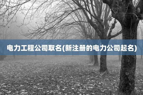 电力工程公司取名(新注册的电力公司起名)