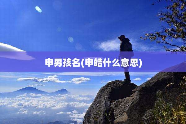申男孩名(申皓什么意思)