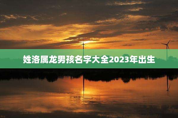 姓洛属龙男孩名字大全2023年出生