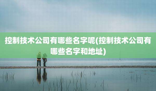 控制技术公司有哪些名字呢(控制技术公司有哪些名字和地址)