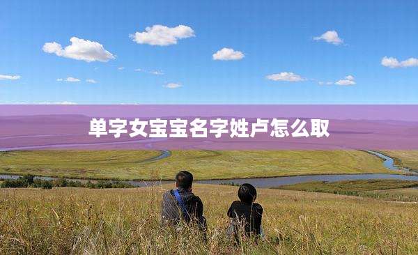 单字女宝宝名字姓卢怎么取