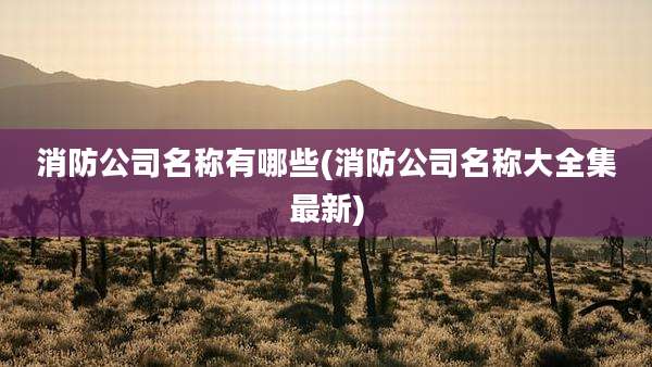 消防公司名称有哪些(消防公司名称大全集最新)