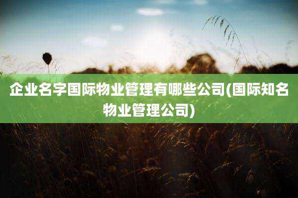 企业名字国际物业管理有哪些公司(国际知名物业管理公司)