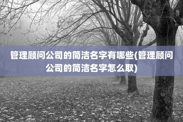 管理顾问公司的简洁名字有哪些(管理顾问公司的简洁名字怎么取)