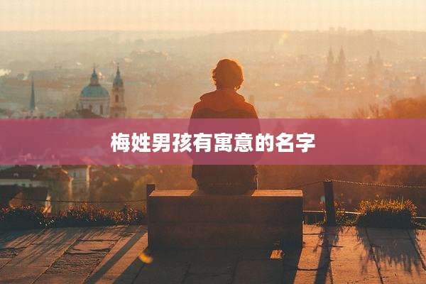 梅姓男孩有寓意的名字