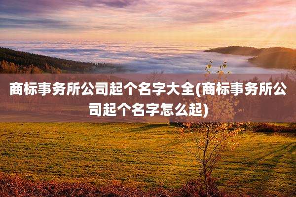 商标事务所公司起个名字大全(商标事务所公司起个名字怎么起)