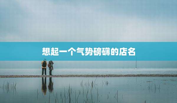 想起一个气势磅礴的店名