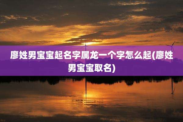 廖姓男宝宝起名字属龙一个字怎么起(廖姓男宝宝取名)