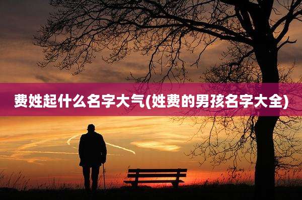 费姓起什么名字大气(姓费的男孩名字大全)