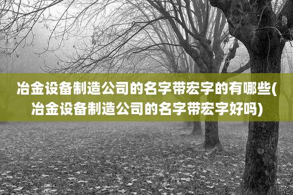 冶金设备制造公司的名字带宏字的有哪些(冶金设备制造公司的名字带宏字好吗)