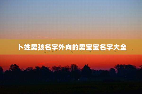 卜姓男孩名字外向的男宝宝名字大全