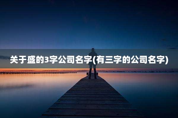 关于盛的3字公司名字(有三字的公司名字)