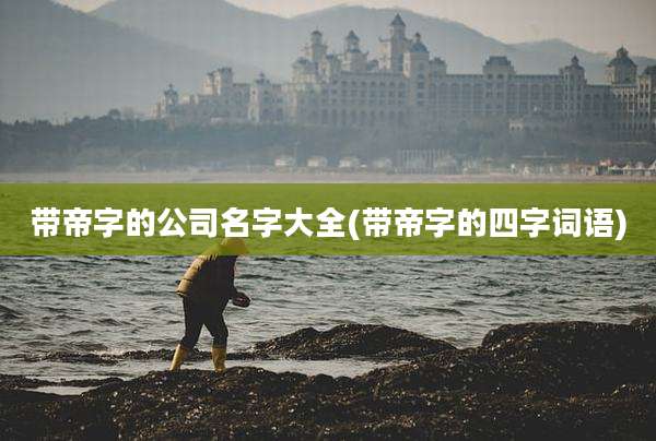 带帝字的公司名字大全(带帝字的四字词语)