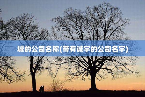 城的公司名称(带有诚字的公司名字)