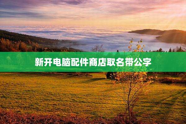 新开电脑配件商店取名带公字