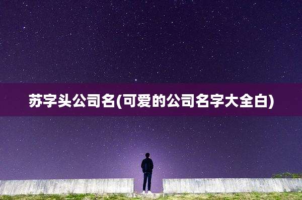 苏字头公司名(可爱的公司名字大全白)