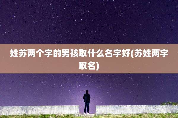 姓苏两个字的男孩取什么名字好(苏姓两字取名)