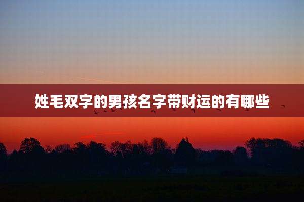 姓毛双字的男孩名字带财运的有哪些