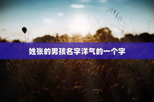 姓张的男孩名字洋气的一个字