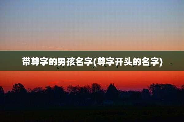 带尊字的男孩名字(尊字开头的名字)