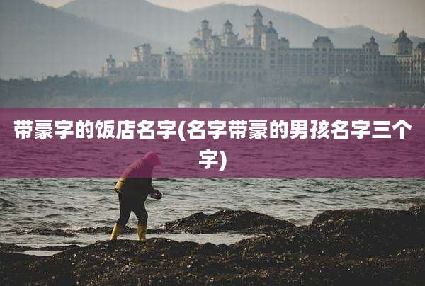 带豪字的饭店名字(名字带豪的男孩名字三个字)