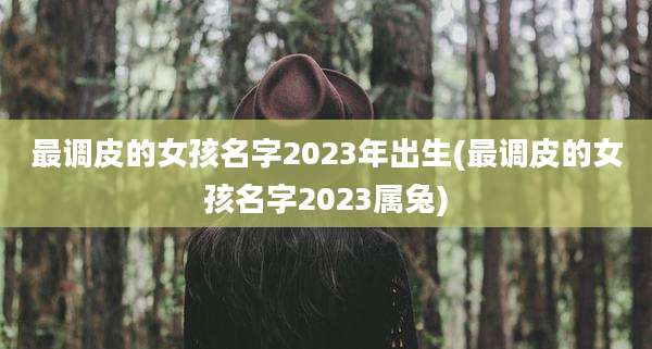 最调皮的女孩名字2023年出生(最调皮的女孩名字2023属兔)