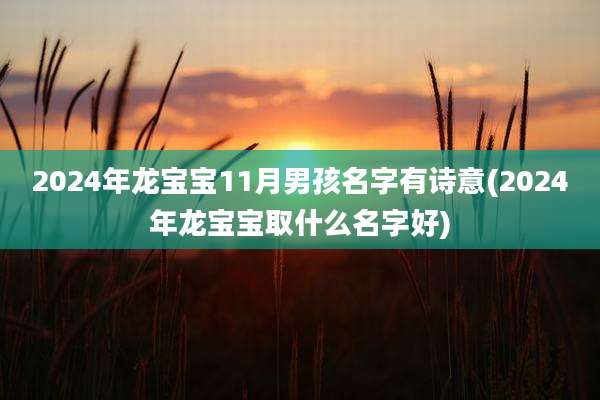 2024年龙宝宝11月男孩名字有诗意(2024年龙宝宝取什么名字好)