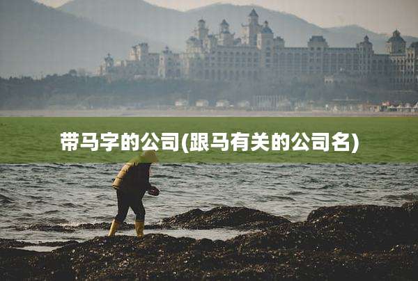 带马字的公司(跟马有关的公司名)
