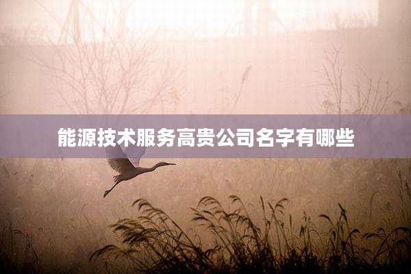 能源技术服务高贵公司名字有哪些