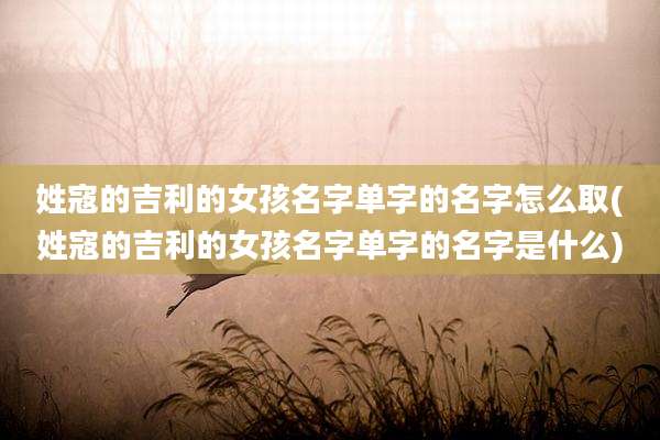 姓寇的吉利的女孩名字单字的名字怎么取(姓寇的吉利的女孩名字单字的名字是什么)