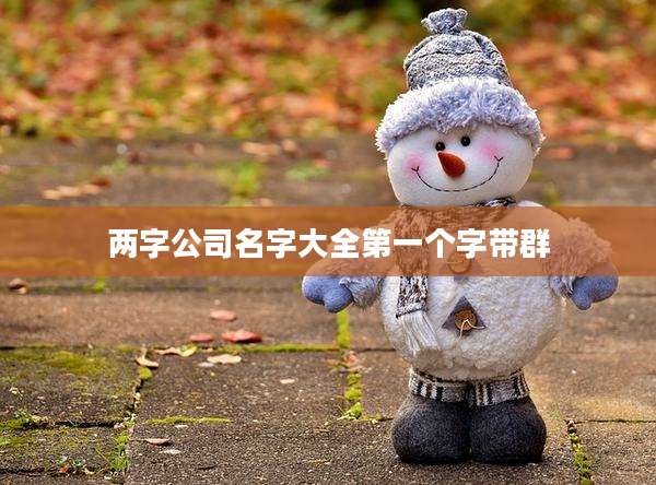 两字公司名字大全第一个字带群