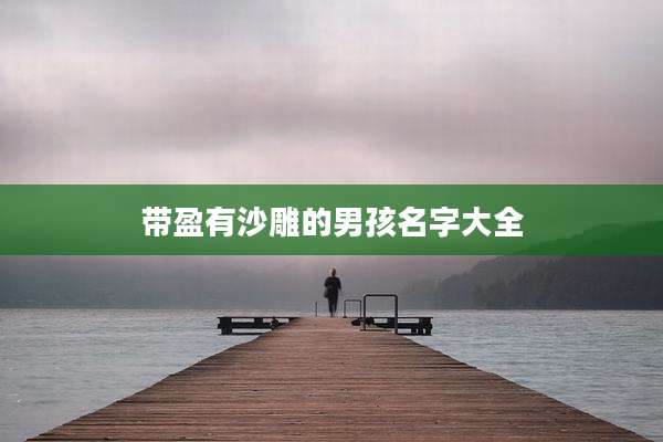 带盈有沙雕的男孩名字大全