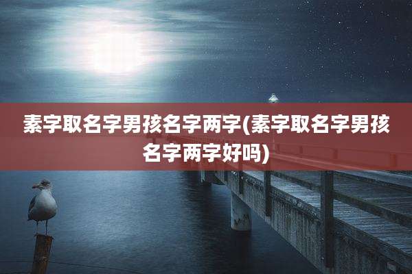 素字取名字男孩名字两字(素字取名字男孩名字两字好吗)
