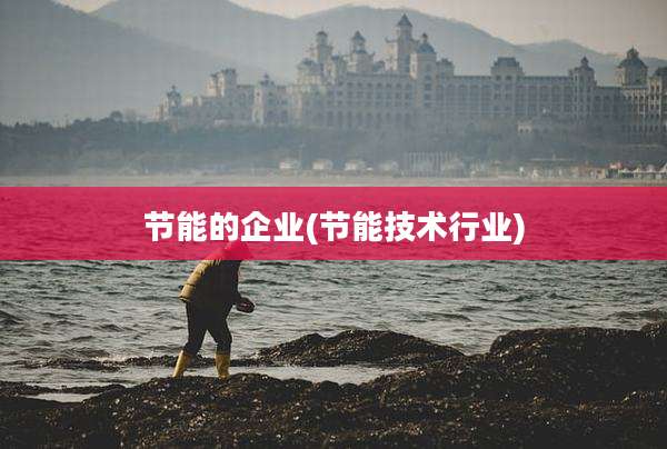 节能的企业(节能技术行业)