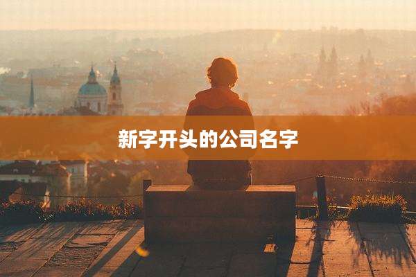 新字开头的公司名字