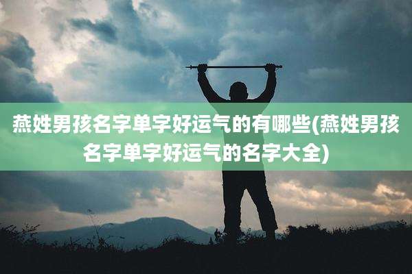 燕姓男孩名字单字好运气的有哪些(燕姓男孩名字单字好运气的名字大全)