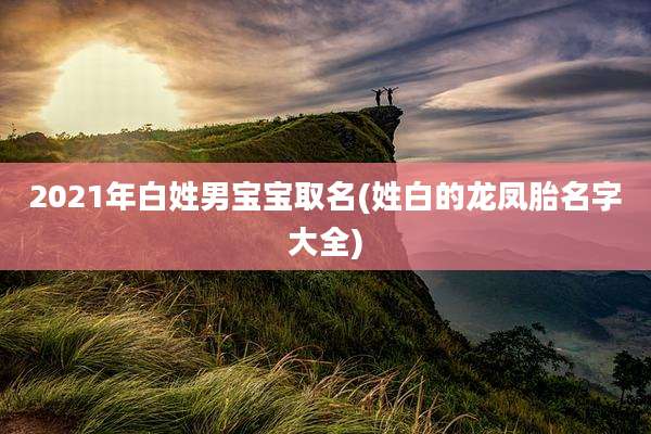 2021年白姓男宝宝取名(姓白的龙凤胎名字大全)