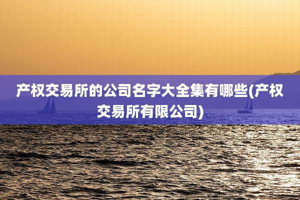 产权交易所的公司名字大全集有哪些(产权交易所有限公司)