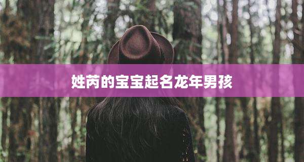 姓芮的宝宝起名龙年男孩