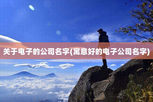 关于电子的公司名字(寓意好的电子公司名字)